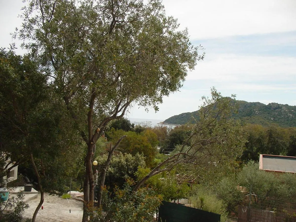 Villa Palmizi Mt300 From Beach Calasinzias Cala Sinzias